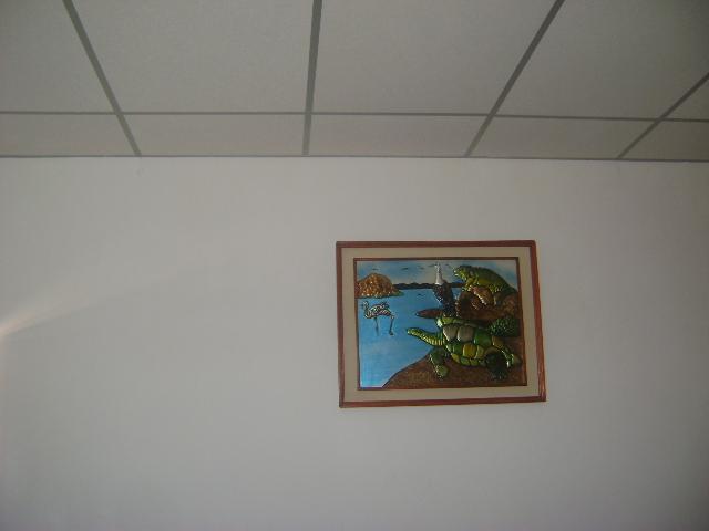 Las Gardenias Hotel Puerto Villamil Exterior photo